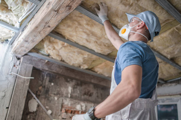 Insulation Replacement Services in Key Largo, FL