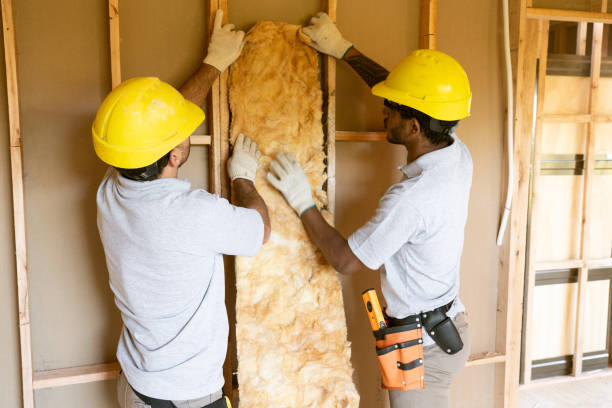 Best Residential Insulation Services  in Key Largo, FL